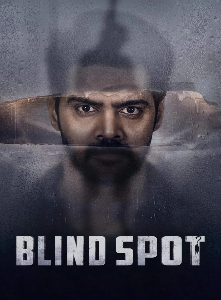 Blind Spot (2025) (Hindi + Telugu) Dual Audio UnCut South Movie HD ESub