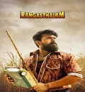 Rangasthalam (2018) (Hindi + Telugu) Dual Audio UnCut South Movie BluRay HD ESub